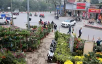Sôi động thị trường hoa Tết