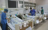 4 người ngộ độc nhập viện sau khi ăn củ nần