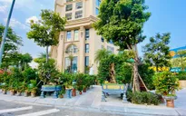 Chợ hoa Tết của Hà Nội vẫn chưa nhộn nhịp
