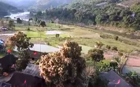 Mùa xuân đến sớm ở vùng biên Quảng Trị