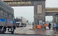 Lập Ban chỉ đạo giải quyết ùn tắc ở cửa khẩu