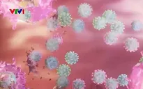 Cùng với vaccine, trí tuệ nhân tạo cũng góp phần kiểm soát tốc độ lây lan của dịch bệnh