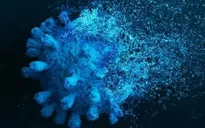 Phát hiện biến thể gene giúp người mắc COVID-19 giảm nguy cơ bệnh nặng