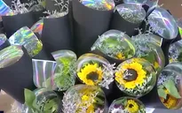 Xu hướng bán hoa qua livestream tại Trung Quốc