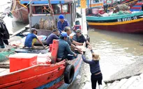 Ngư dân miền Trung bội thu ngày đầu năm mới