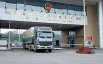 Xuất nhập khẩu qua cửa khẩu Lào Cai nhộn nhịp ngày đầu năm mới