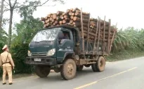 Xử lý mạnh tay với xe quá tải