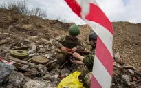 Nỗ lực ngoại giao giải quyết khủng hoảng Ukraine