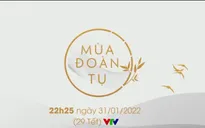 Mùa đoàn tụ: Chương trình đặc biệt đón giao thừa của VTV