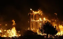 Mỹ: Cháy rừng nghiêm trọng ở California khiến cư dân phải sơ tán, đường cao tốc đóng cửa