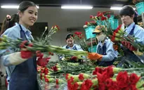 Australia nhập khẩu trở lại hoa từ Việt Nam
