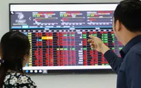 Cổ phiếu đồng loạt giảm sàn, VN-Index mất hơn 33 điểm