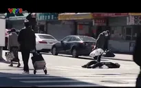 Bộ phim tài liệu "Làn sóng dịch đầu tiên" được đề cử Oscar