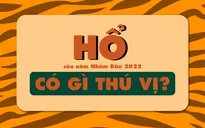 Hổ của năm Nhâm Dần 2022 có điều gì thú vị?
