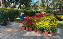 Các chợ hoa Tết tại TP Hồ Chí Minh đồng loạt đón khách