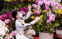 Chợ hoa Tết: Nơi “ế khách”, chỗ “cháy hàng”