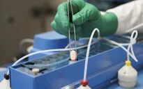 EU phê duyệt sử dụng thuốc điều trị COVID-19 của Pfizer cho bệnh nhân có nguy cơ cao