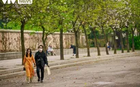 Hoa ban trắng ngần khoe sắc giữa Thủ đô dịp cận Tết