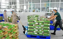 FTA thúc đẩy xuất khẩu tăng trưởng