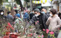 Hà Nội tổ chức 91 điểm chợ hoa xuân phục vụ Tết Nguyên đán Quý Mão 2023