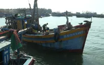 Bà Rịa – Vũng Tàu: Ngư dân 'trúng biển' cuối năm