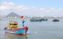 Ngư dân vươn khơi bám biển xuyên Tết