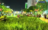 Đường hoa Nguyễn Huệ sôi động ngày cuối năm