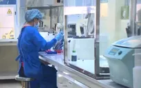 12 ca nhiễm biến thể Omicron tại TP Hồ Chí Minh đã xuất viện