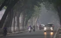 Bắc Bộ, Bắc Trung Bộ rét về đêm và sáng sớm, có nơi dưới 15 độ C