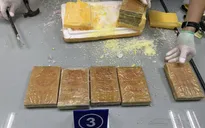 Triệt phá 4 đường dây ma túy quốc tế