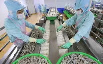 Xuất khẩu của Việt Nam sang Anh đạt “kỳ tích” nhờ UKVFTA