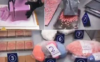 Thu giữ gần 25 kg ma túy và 18 kg cần sa qua tuyến chuyển phát nhanh