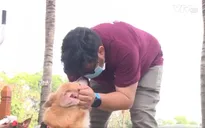 Cặp vợ chồng làm xe lăn cho chó, mèo khuyết tật ở TP Hồ Chí Minh
