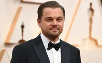 Leonardo DiCaprio được giới khoa học vinh danh, đặt tên cho cây!