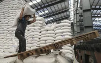 Giá lương thực toàn cầu cao nhất trong một 1 thập kỷ