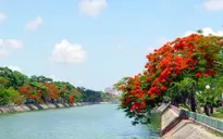 Toàn thành phố Hải Phòng chuyển thành "vùng đỏ"