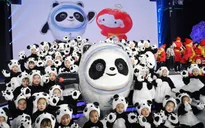 Đôn Đôn - Linh vật của thế vận hội Olympic mùa Đông 2022