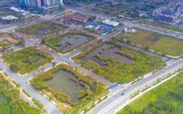 Yêu cầu báo cáo việc cấp tín dụng cho doanh nghiệp đấu giá đất Thủ Thiêm
