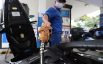 Bộ trưởng Bộ Tài chính: Tạo điều kiện thuận lợi cho doanh nghiệp đảm bảo nguồn xăng dầu