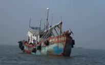 Bà Rịa - Vũng Tàu: Bắt tàu cá vận chuyển gần 50 ngàn lít dầu DO lậu trên biển