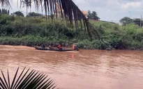 Cùng mẹ đi thả cá phóng sinh, bé trai 2 tuổi rơi xuống sông mất tích