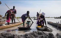 Gần một triệu người bị ảnh hưởng bởi lũ lụt ở Nam Sudan