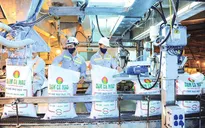 Tăng trưởng lợi nhuận quý 3 phân hóa