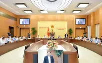 Thí điểm đấu giá biển số ô tô: Bảo đảm công khai, minh bạch, tạo sự hấp dẫn
