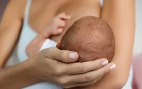 Phát hiện vi nhựa trong nhiều mẫu sữa mẹ ở Italy