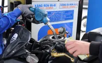 Kiểm tra, làm rõ lý do cây xăng ngưng bán, xử lý nghiêm vi phạm kinh doanh xăng dầu