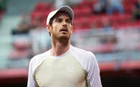 Andy Murray và tứ kết giải quần vợt Gijon mở rộng 2022