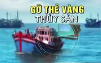 Hành động quyết liệt để gỡ bằng được "thẻ vàng" IUU