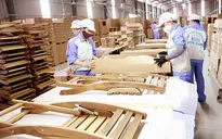 Thách thức từ thị trường xuất khẩu gỗ chủ lực