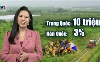 Bỏ phố về quê cần chuẩn bị gì?